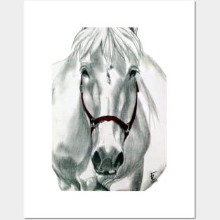 White horse Posters and Art